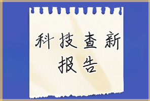 科技查新报告