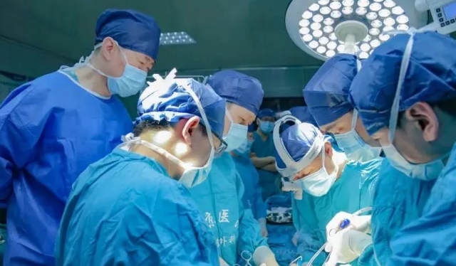 经科技查新属世界首例——西京医院成功将基因编辑猪肝植入人体
