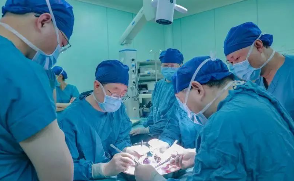 经科技查新属世界首例——西京医院成功将基因编辑猪肝植入人体