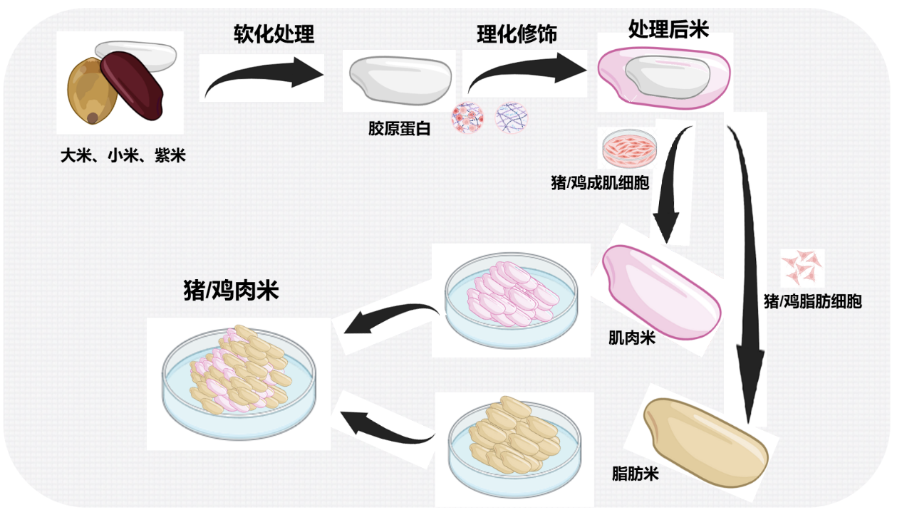 鸡肉米、猪肉米制作原理图