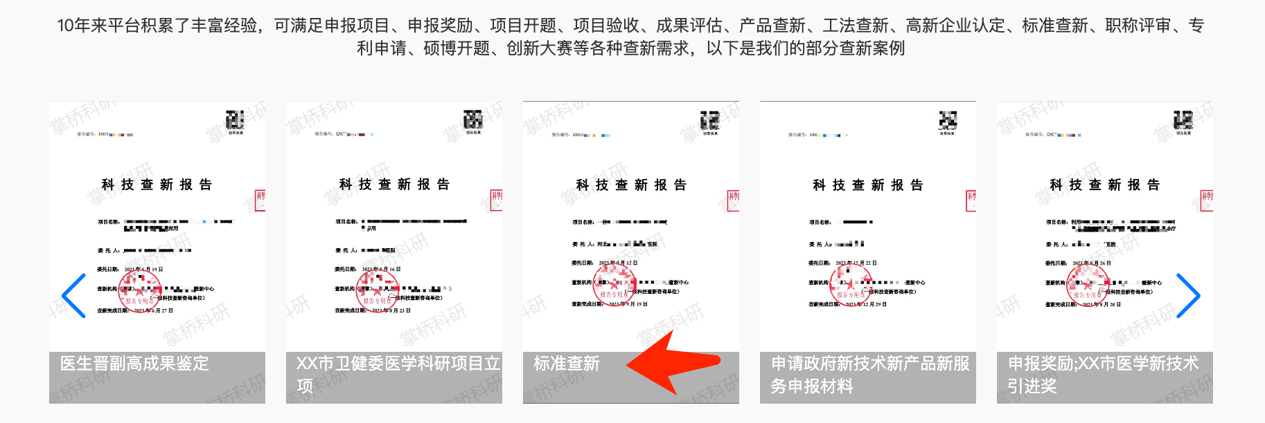 标准查新报告