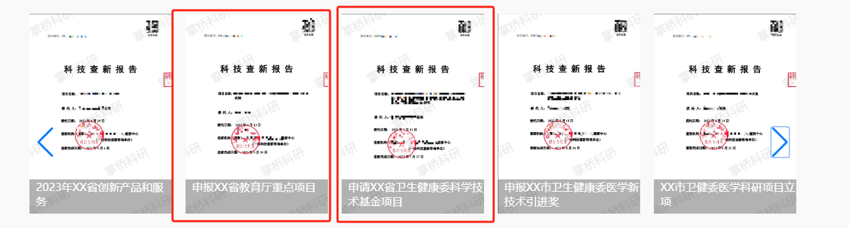 项目查新报告